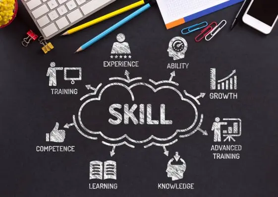 Skills Development